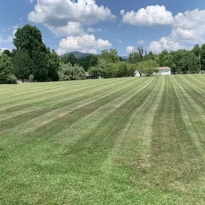 The Grass Groomer