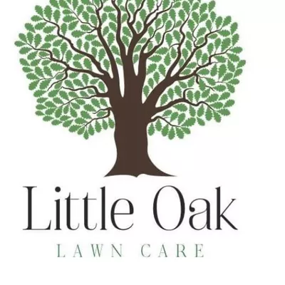 Little oak lawn care