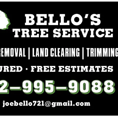 Bello’s lawn and tree services