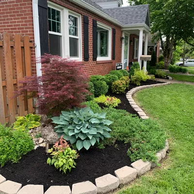 Wilson Lawn & Landscape