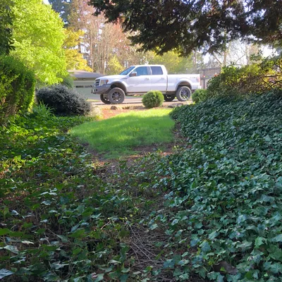 Middleton's Yard Maintenance