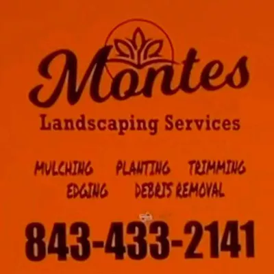 Montes Landscaping Services