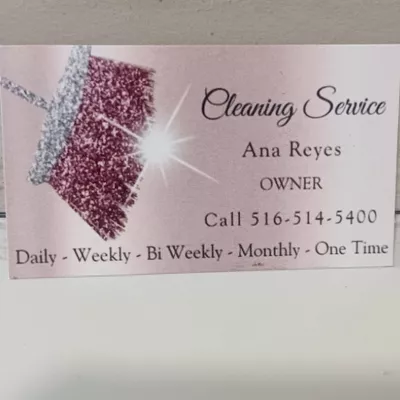 Daysi cleaning Service