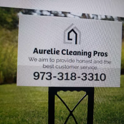 Aurelie Cleaning Pros