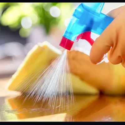 Sunshine  Cleaning