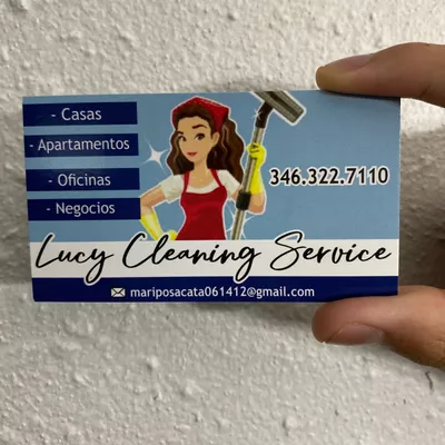 Lucy cleaning service