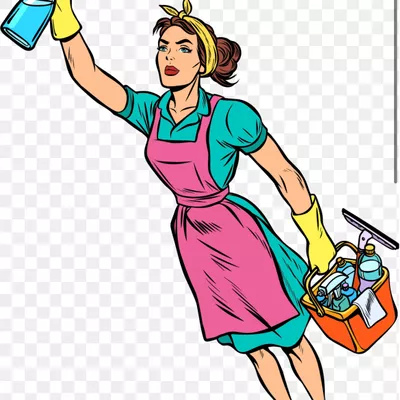 Lilian cleaning service