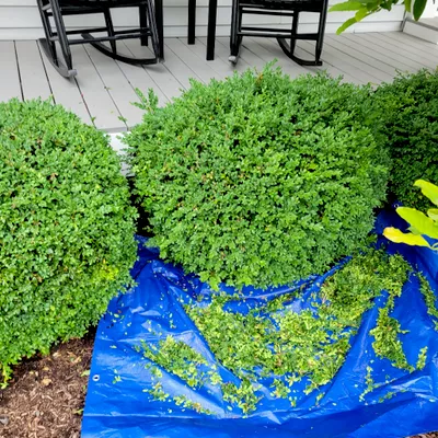 Cooper Landscaping
