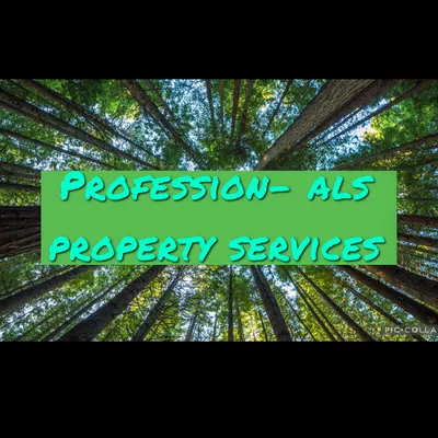 Profession-Als Property Services