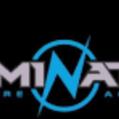 DOMINATORS MOVING AND ASSEMBLY SERVICES