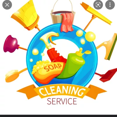 Blue shy house cleaning