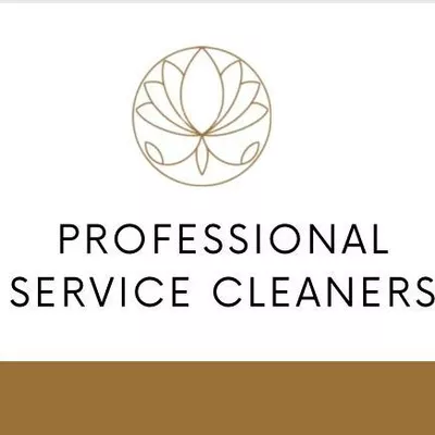 Professional Service Cleaners