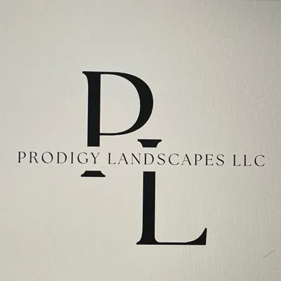 Prodigy landscapes