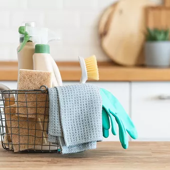 Brigita cleaning service