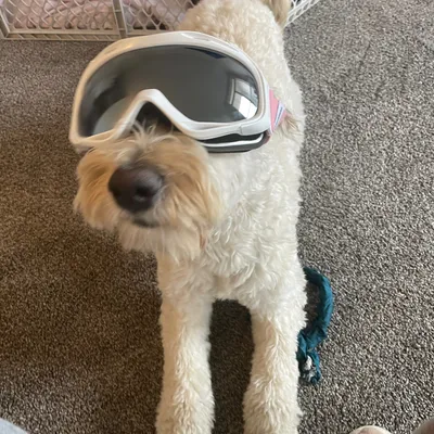 Aldo’s handyman