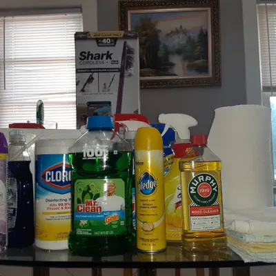 House Cleaner Service Independent