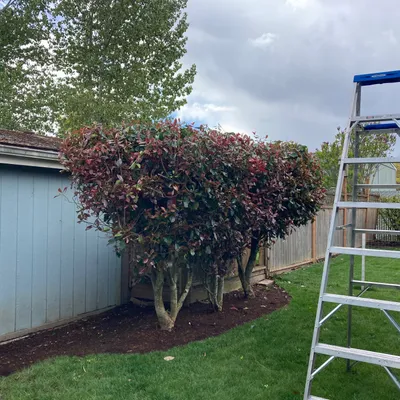 Oregon’s Affordable Yard Care LLC