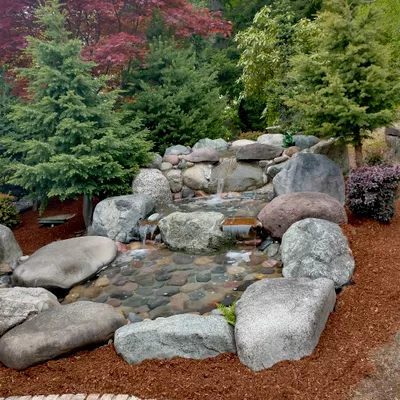 Menjibar Landscaping Services