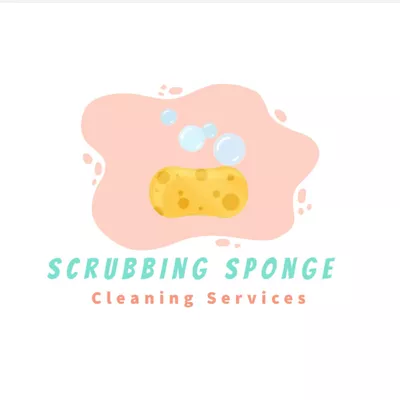 Scrubbing Sponge