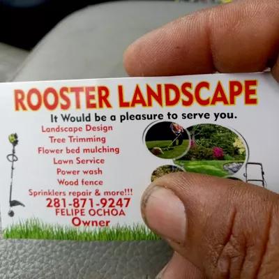 rooster landscape