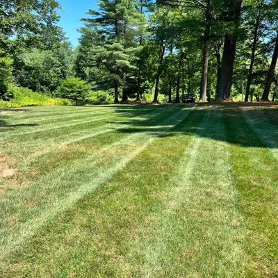 Nova Lawn Care Services