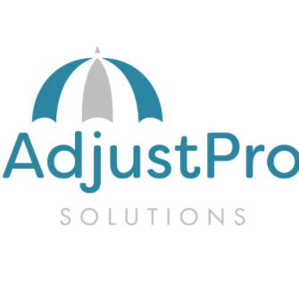 AdjustPro Solutions