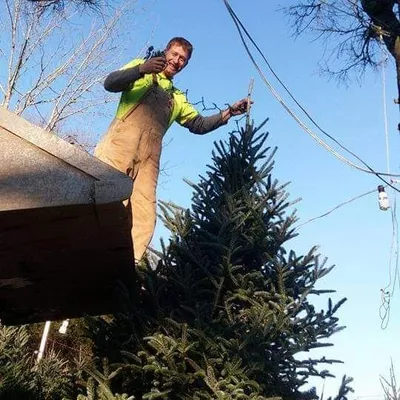 Handydan