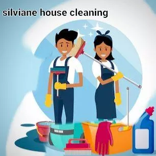 Silviane Services Cleaners