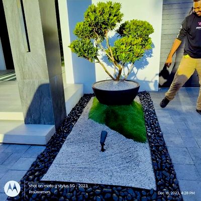 Xtraordinary Lawn Care