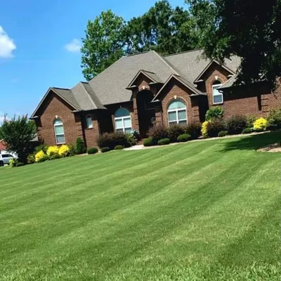 Ace Landscape
