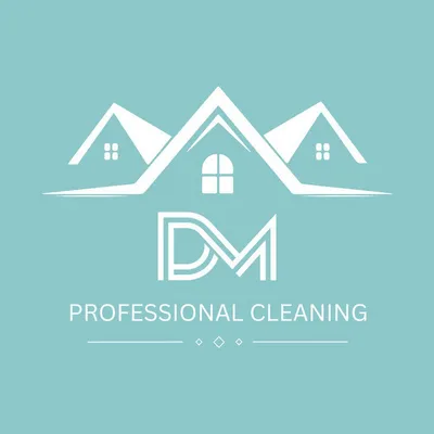 DMProfessionalCleaning LLC