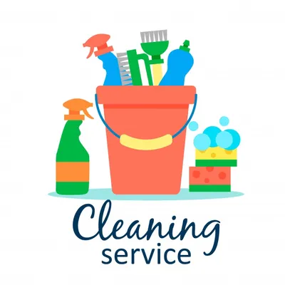 Professional Cleaning Services