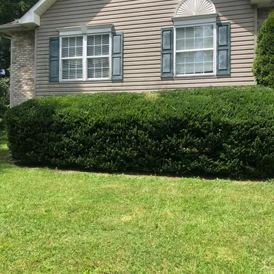 Tyler’s Lawn Maintenance & More