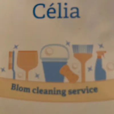 Blom cleaning service