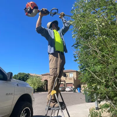 Tlacuache Landscaping