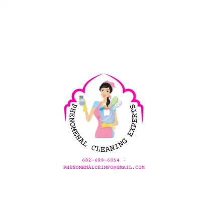 Phenomenal Cleaning Experts
