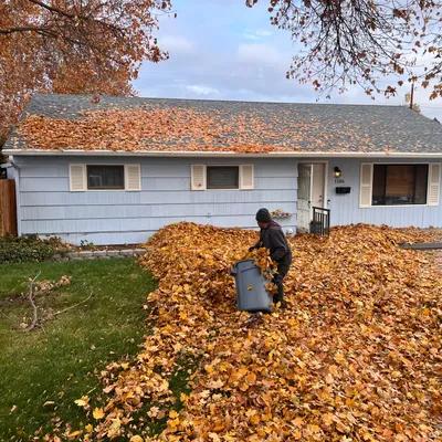 JJ Lawn care