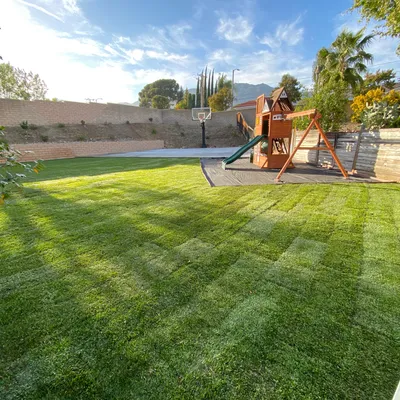 Jose Rivera & son landscaping