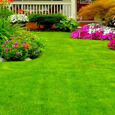 Foster Brothers Lawn Care