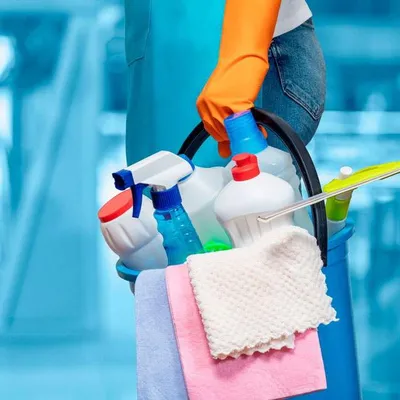 Evelyn cleaning services
