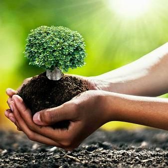 AVT Landscaping
