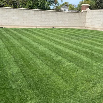 Esparza’s landscaping