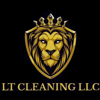 LT CLEANING LLC
