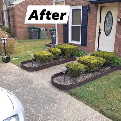 No Lawn Left Behind