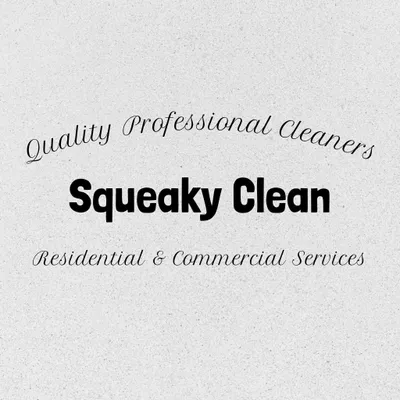 Squeaky Clean Professional Cleaners LLC