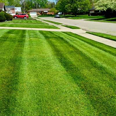 Stinger landscaping