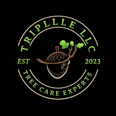 TRIPLLLE LLC