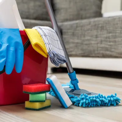 Fernando Paloma Brazil house cleaning