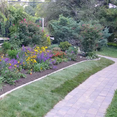 La plata landscape llc
