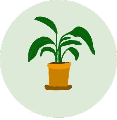 Planticular